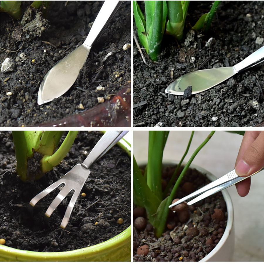 مشط جذر احترافي من الفولاذ الم - مراجعة Scissors Stainless Craft وسعره