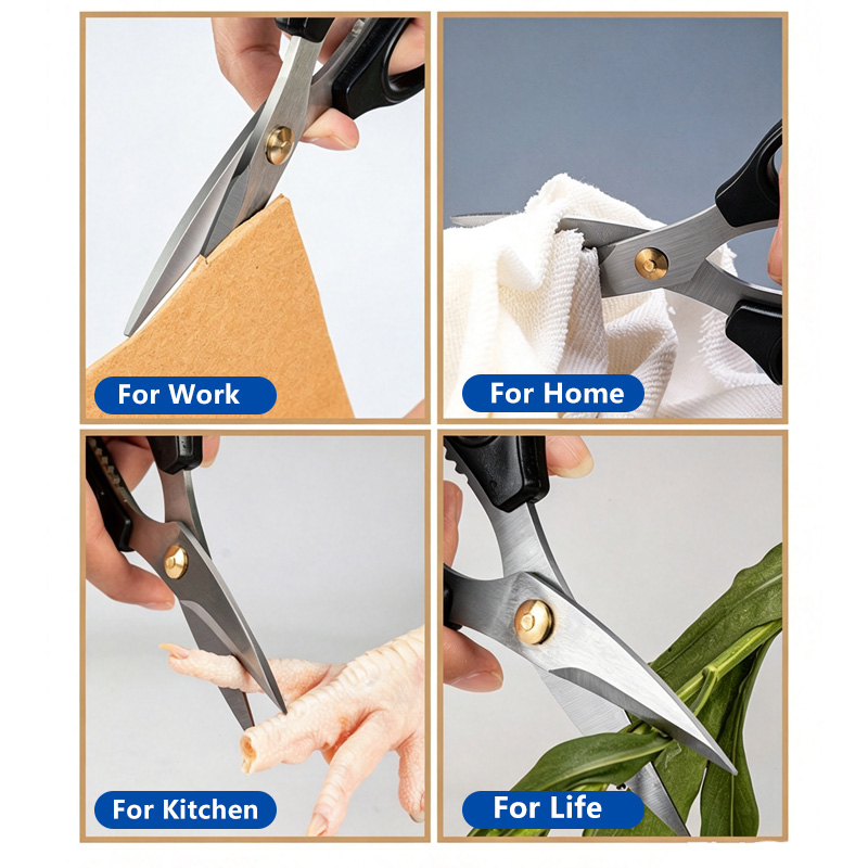 مقص من الفولاذ المقاوم للصدأ،  - مراجعة Scissors Stainless Craft وسعره